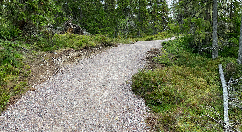 Strax efter stigskiljet för kryssleden kommer den första lilla stigningen.