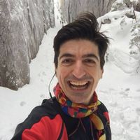 Alin Stoian