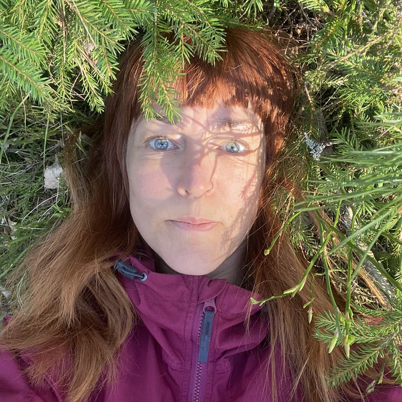 Liselotte Lundström 