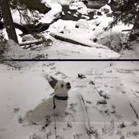 Malin Löfgren Andersson