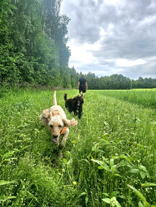 Malin Ebba & Lyra
