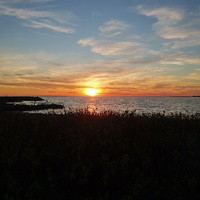 Annalinanilsson@yahoo.se