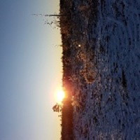 Eriksson Marie Annelie