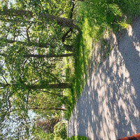 Magdalena Pärlefjord