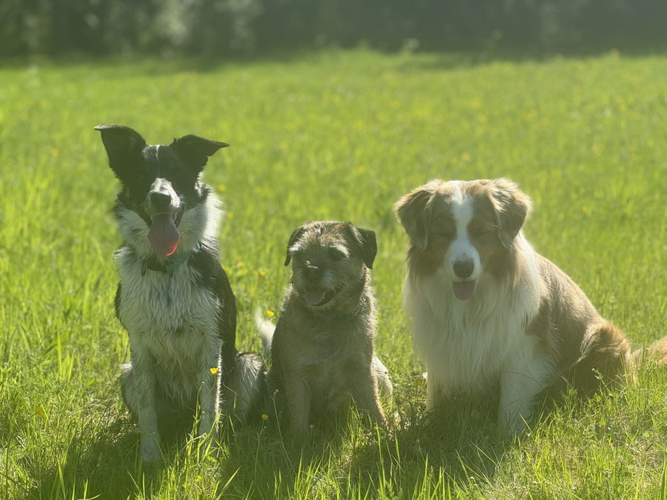 Mikaela Hallkvist Hedqvist