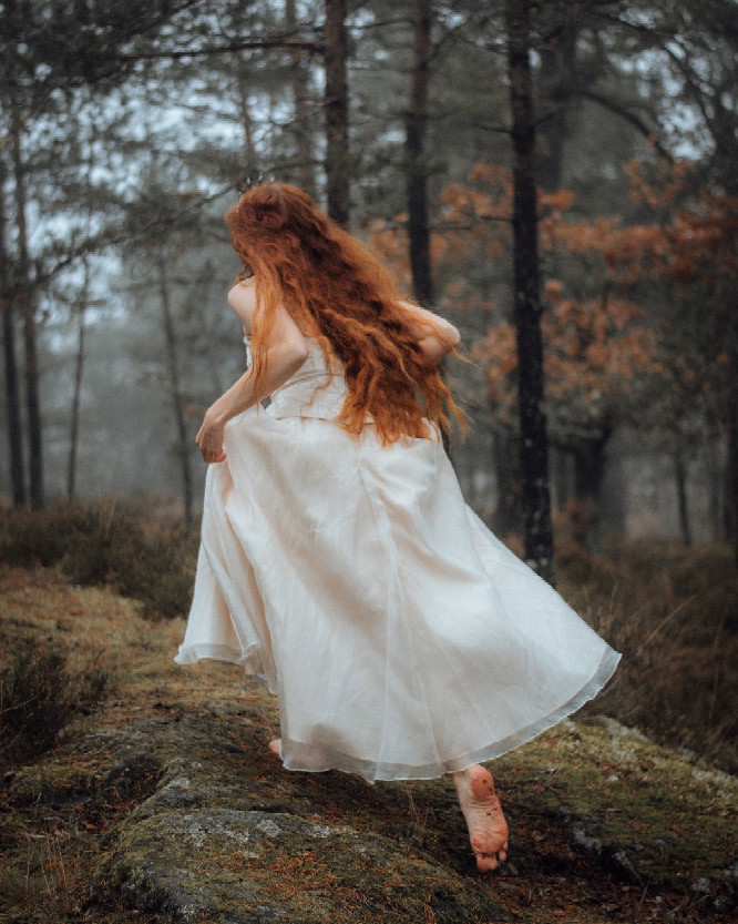 willowmaid