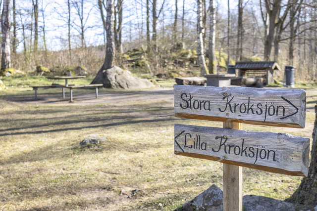 Vandring Långasjönäs naturreservat