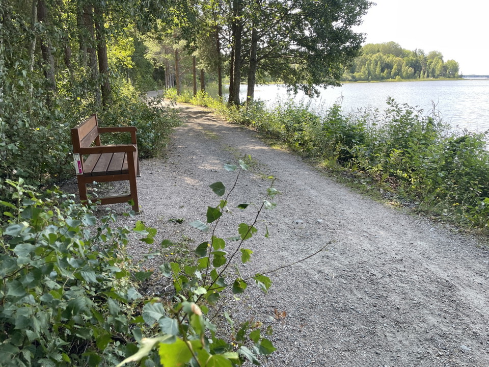 Smal grusväg i skog med vatten på höger sida.