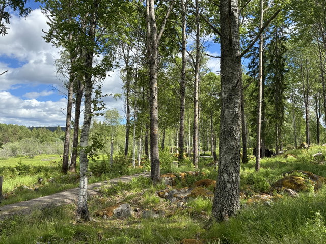 Stig på Olars näs 
