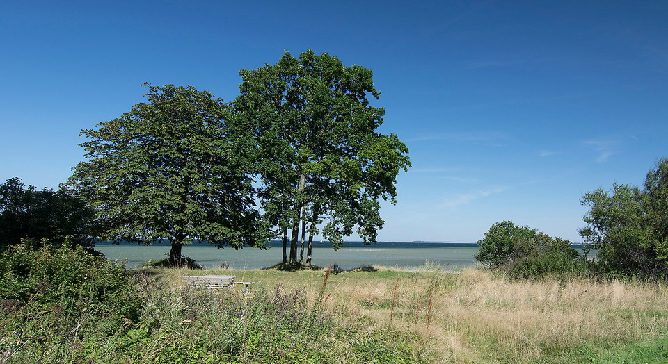 Öresundsparken vid Lommabukten.