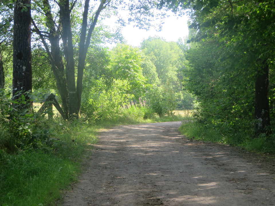 Hanes väg vid Hanes torp