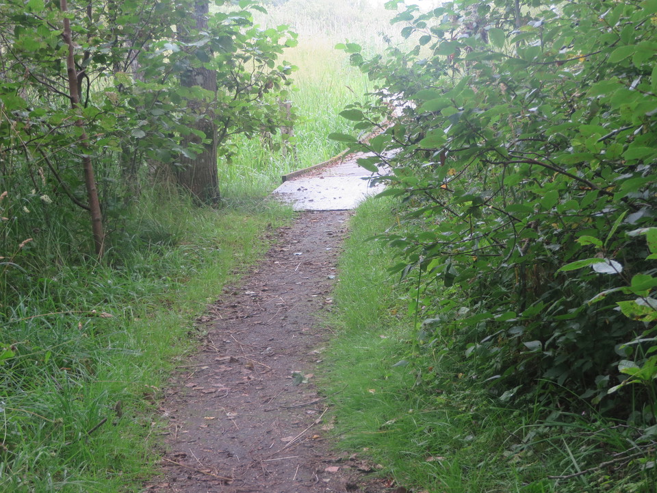 Från Åholmens parkering leder en hårdgjord väg in i reservatet. 
