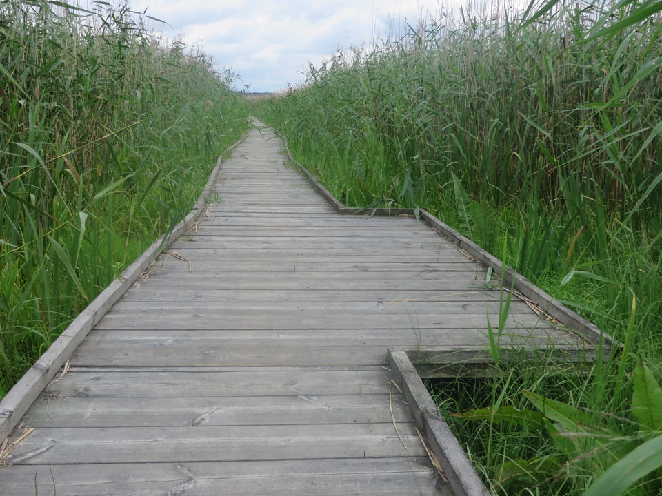 Mötesplats längs med spången. 