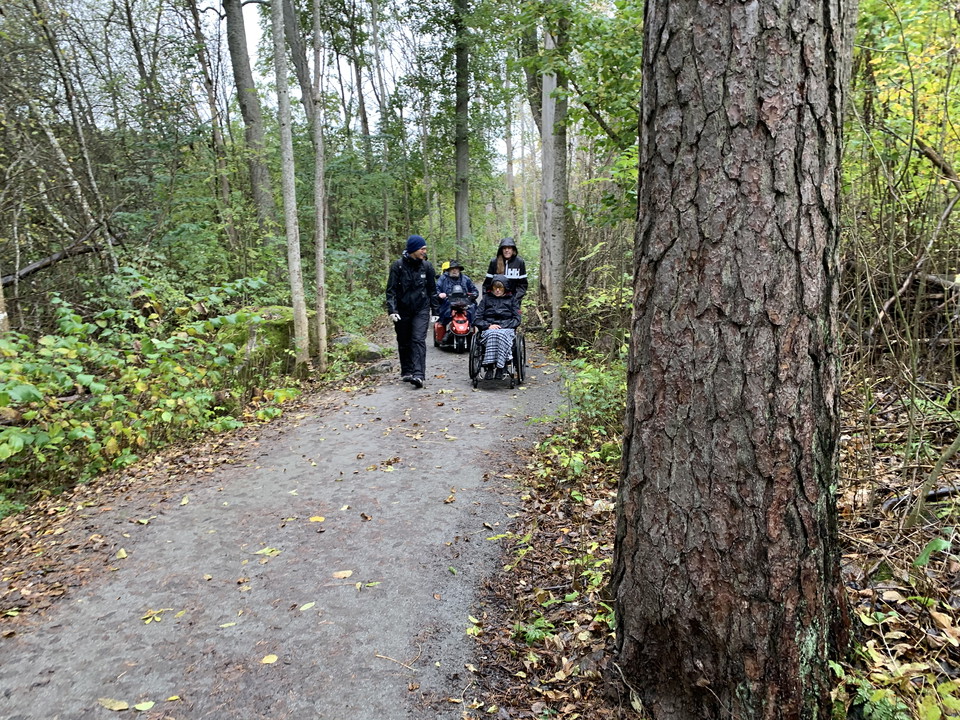 I skogen, underlag hårt packat grus