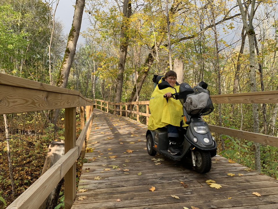 Träspång genom skogen