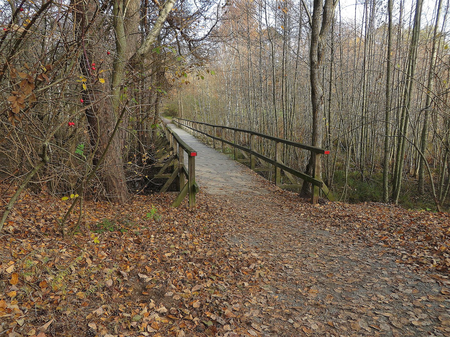 Bron över bäcken som går mellan Kottlasjön och Stockbysjön