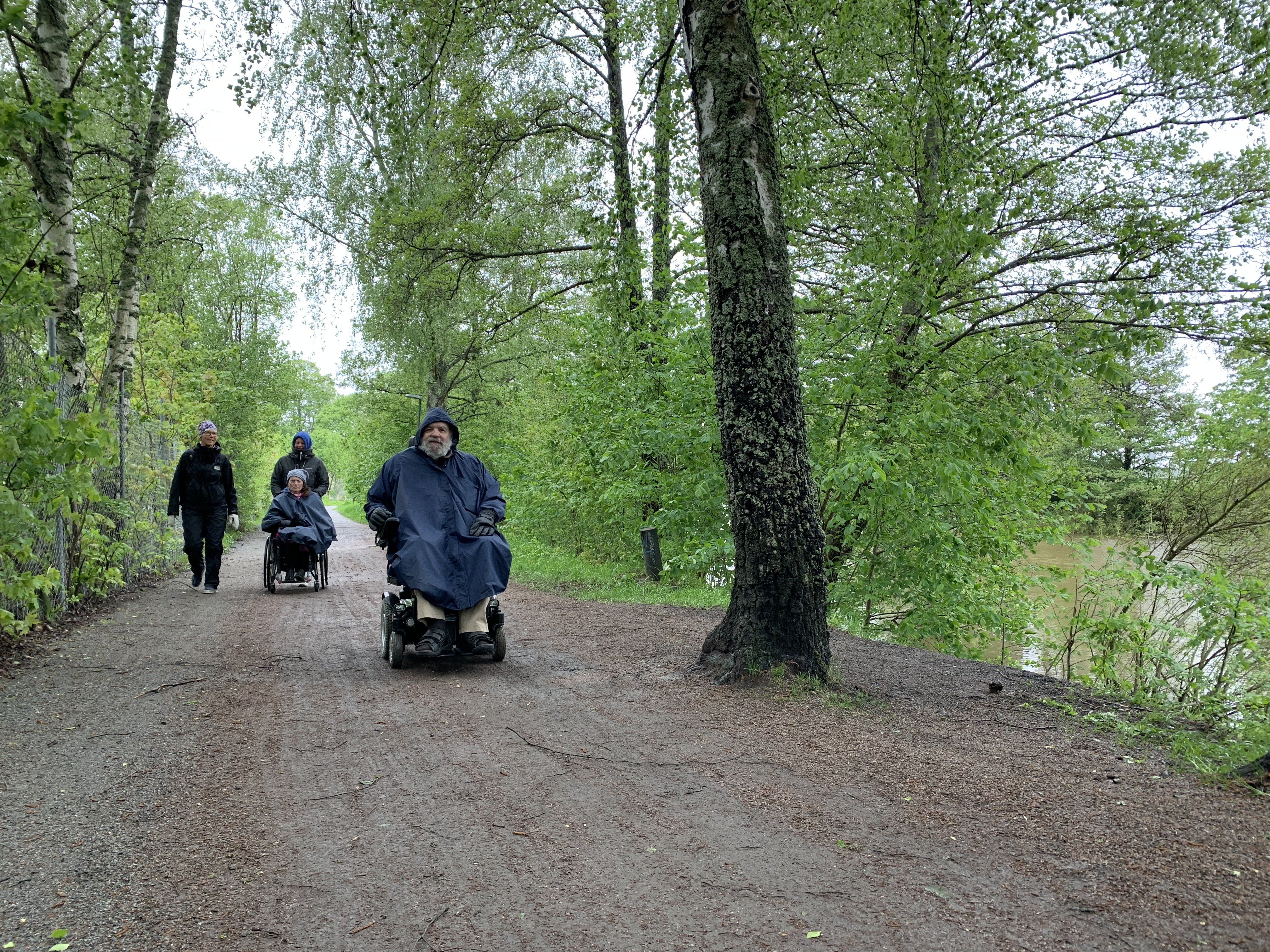 Bred stig med fyra vandrare och lummigt gröna träd på sidorna.