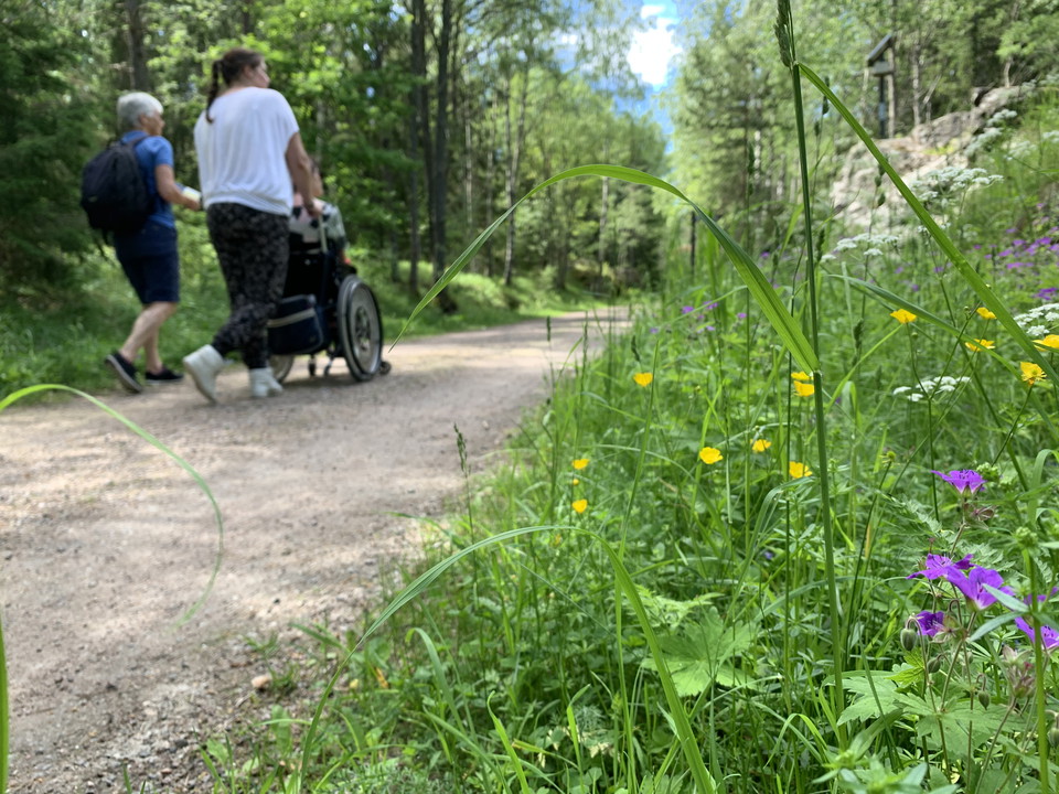 Tre personer vandrar på stigen, en av dem i rullstol. Sommarblommor i förgrunden.