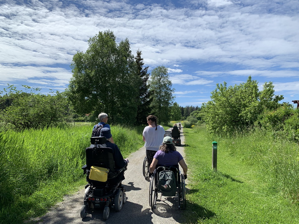 En grupp personer med och utan rullstol vandrar på en stig omgiven av grönska.