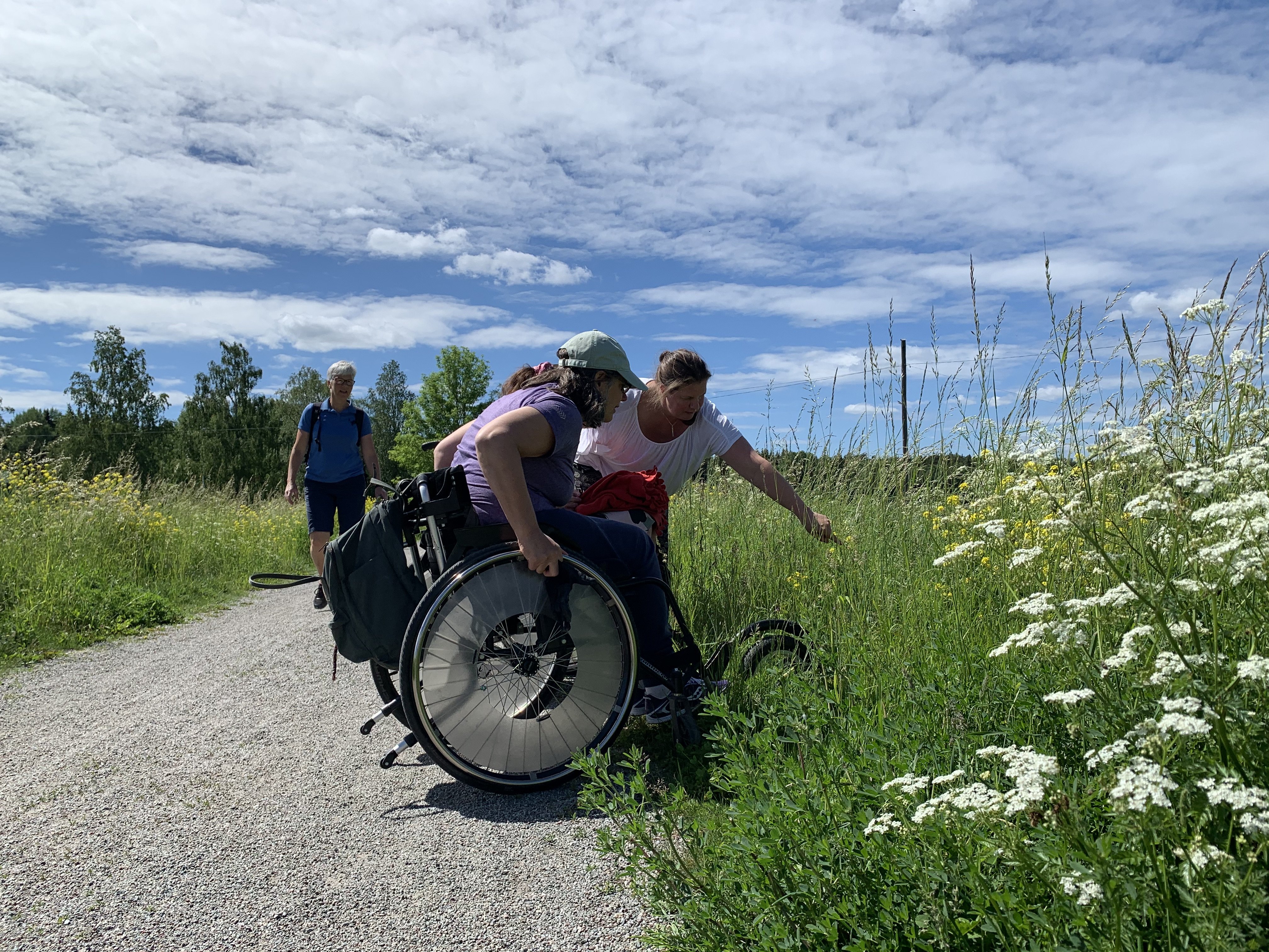 Tre kvinnor, varav två i rullstol, tittar på något (fjärilar) bland blommorna vid kanten av en bred stig.