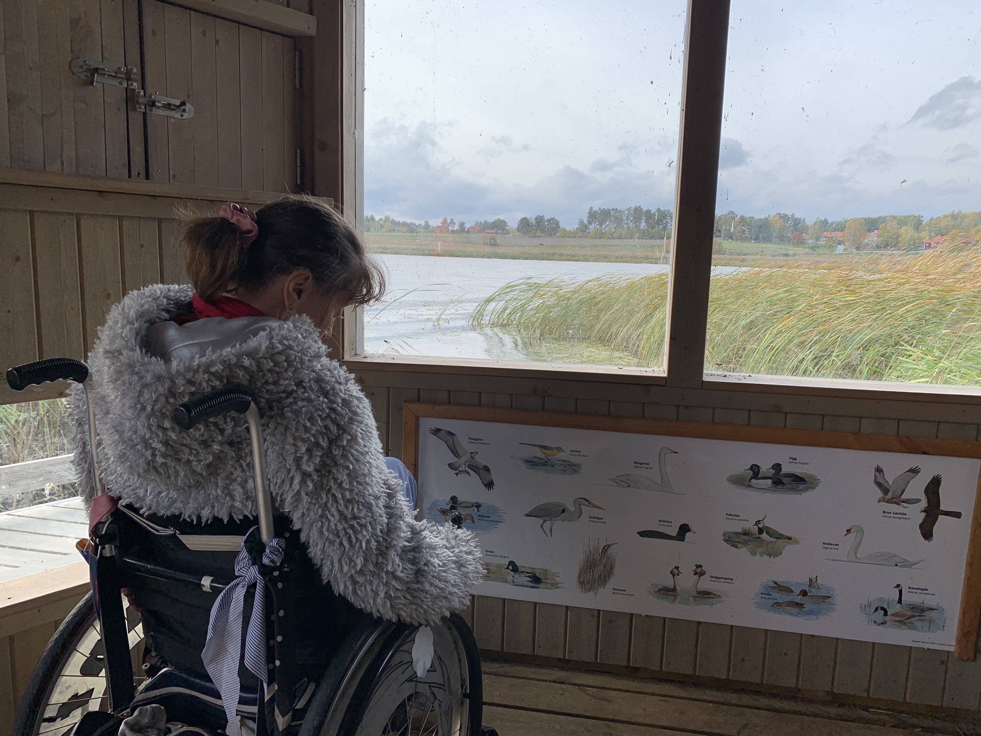 En kvinna i rullstol är inne i en byggnad med stora fönster ut mot vattnet. Hon tittar på en skylt med olika fåglar. 