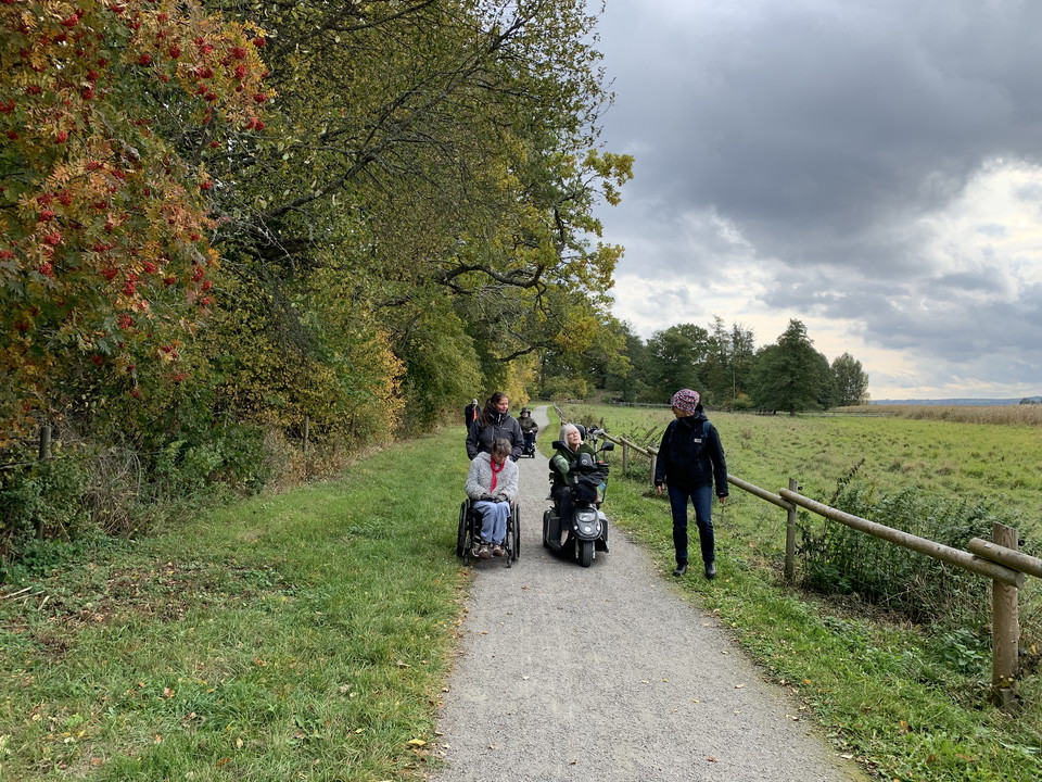 En grusad stig med skog på ena sidan och betesmark på den andra. Fyra personer vandrar mot kameran, två av dem sitter i rullstol