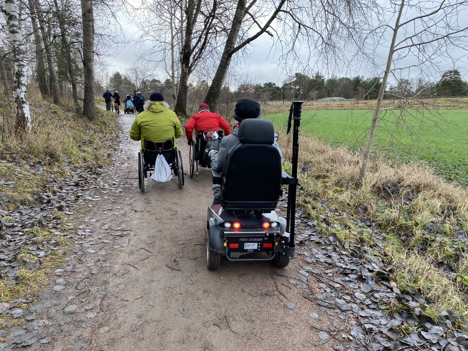 Tre personer i rullstol bakifrån på hårdgjord stig. Höstbild.