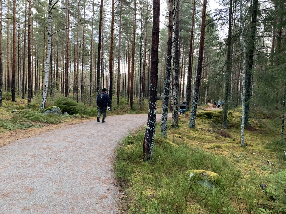 Stigen genom skogen. En gående man en bit bort.