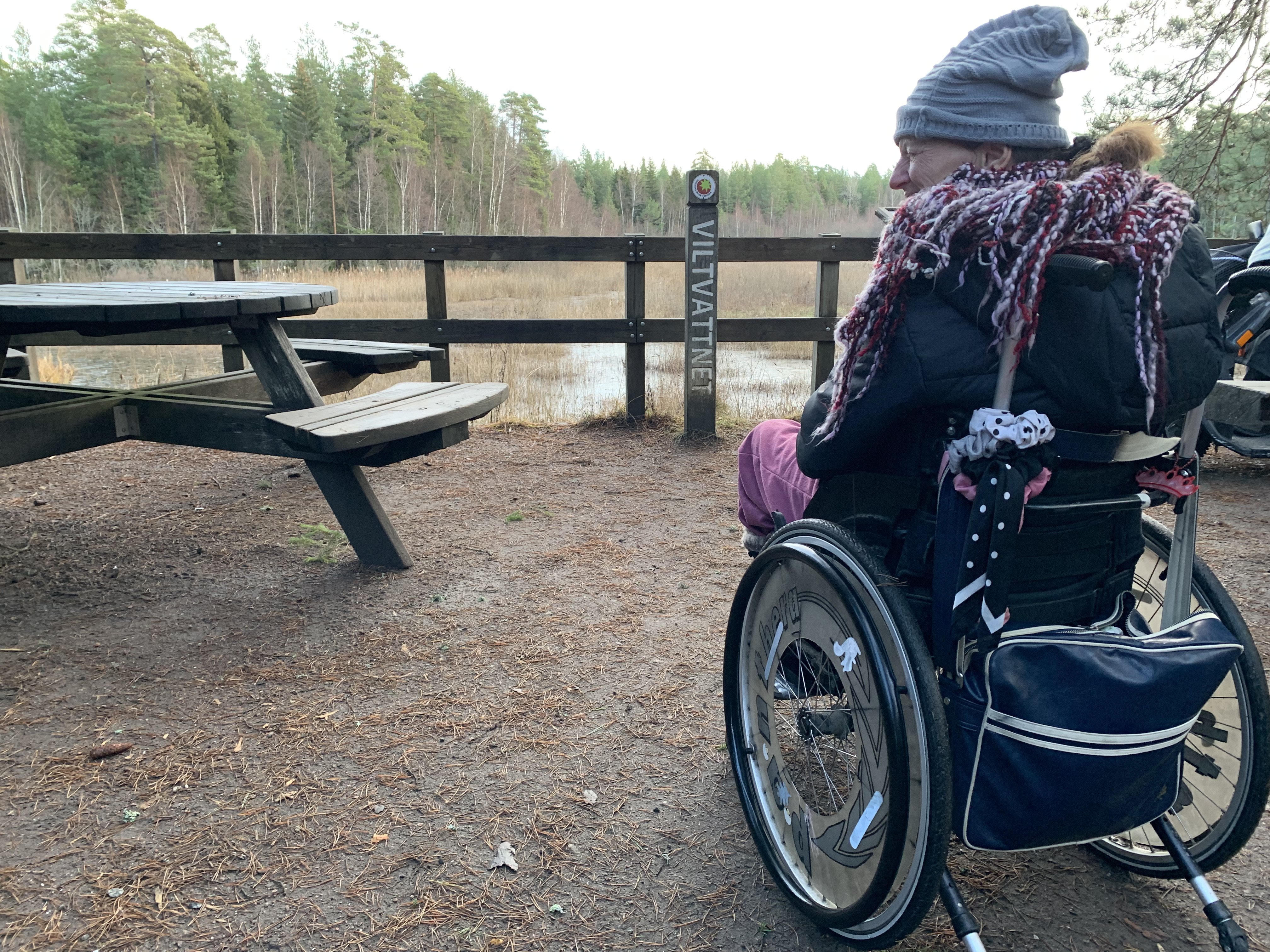 Kvinna i rullstol njuter av utsikten över en våtmark.