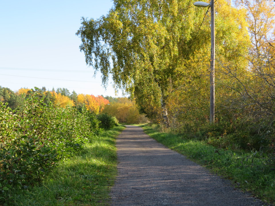 Grusvägen vid koloniområdet