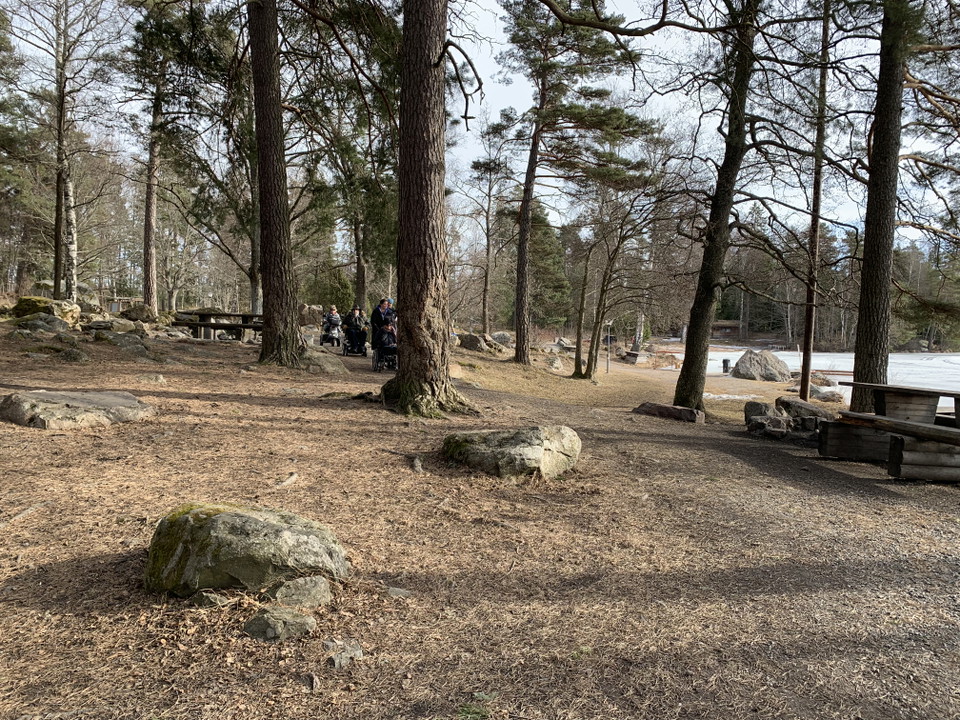 Rastplatser i skog vid sjö