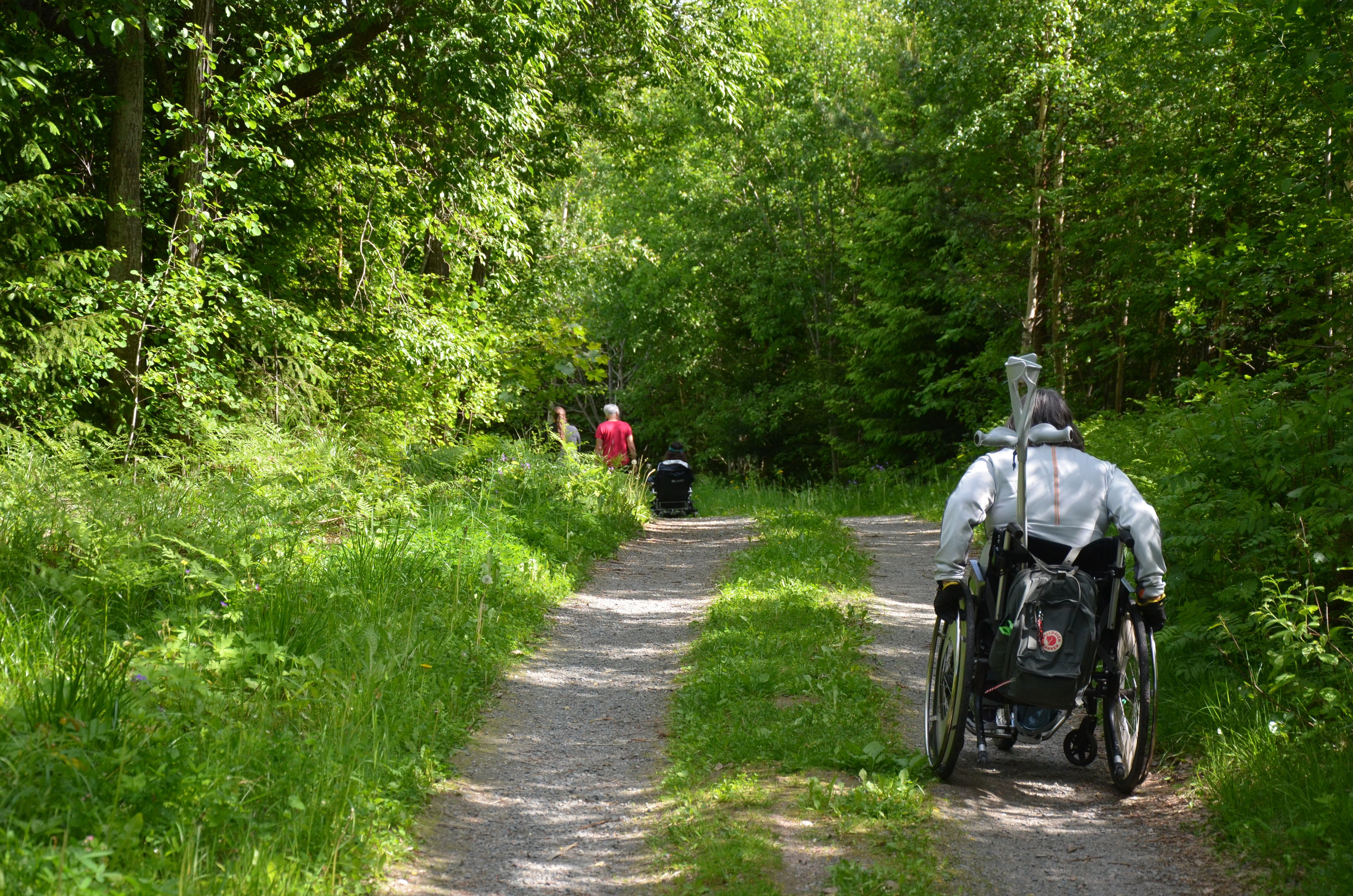 Person i rullstol åker på grusväg i skogen
