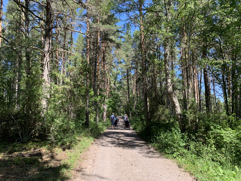 Grusväg i skog där en person med rullstol och en person till vandrar