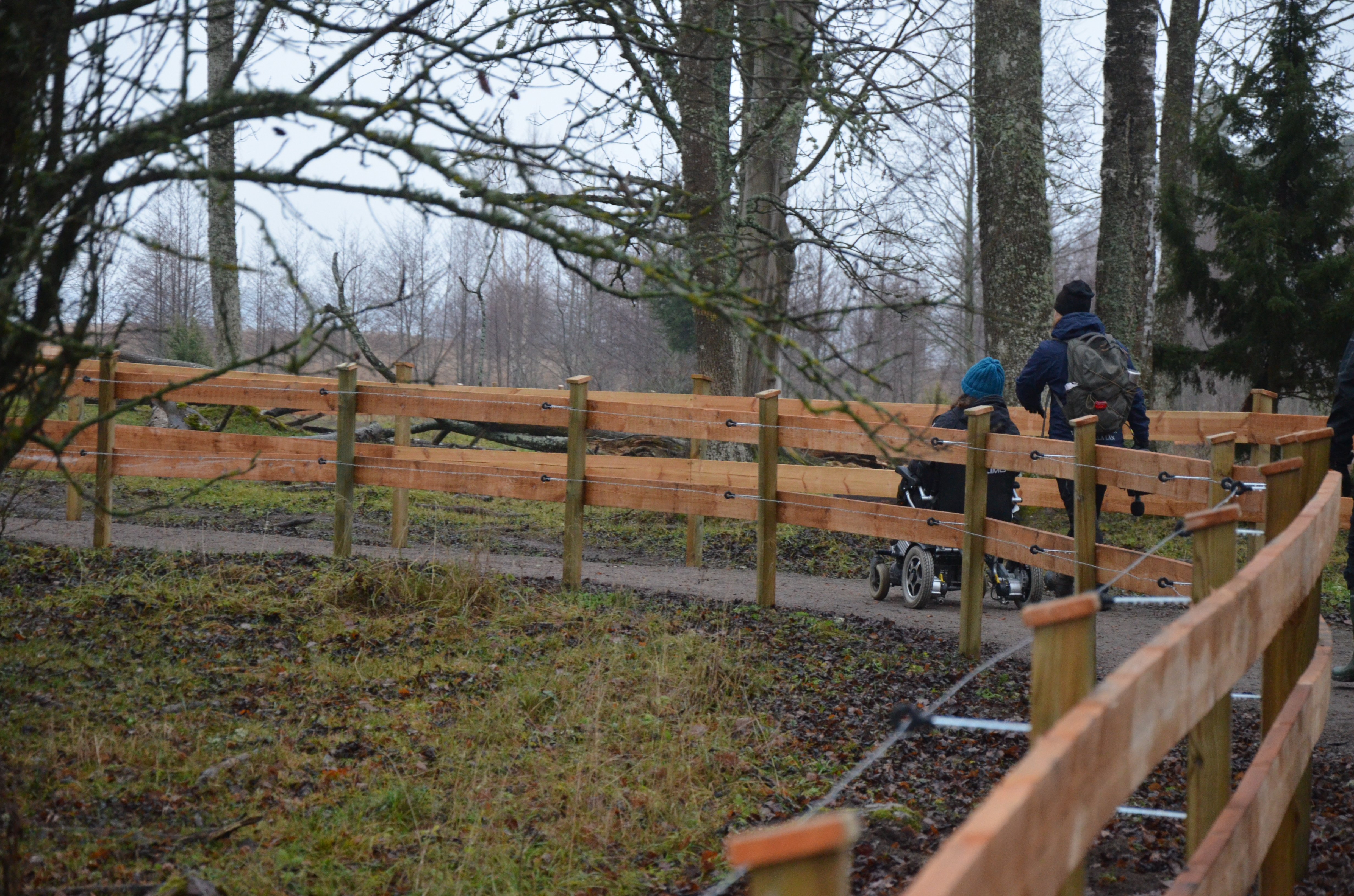 Två personer promenerar på en stig som har staket på båda sidor. En av dem sitter i rullstol.