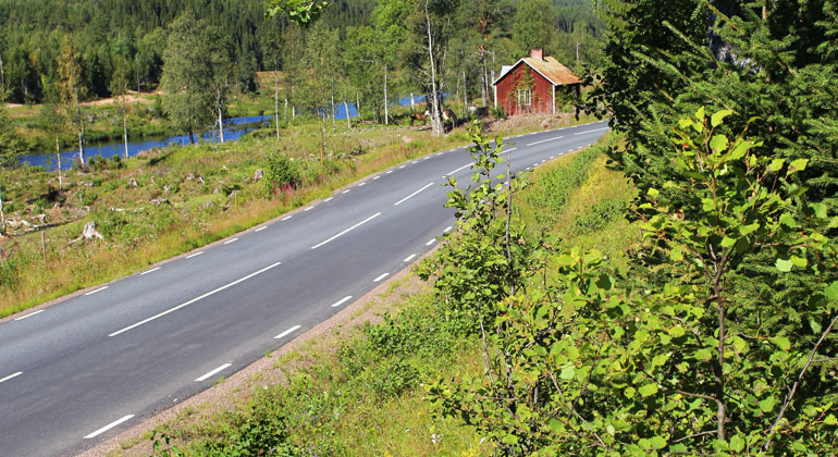 Här vid vägen startar man vandringen för att komma upp till orkidéerna i Högstrand.