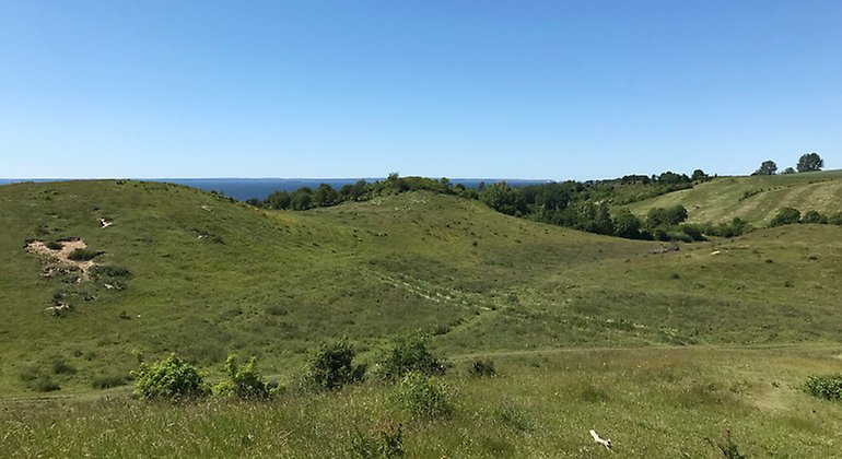 Betat backlandskap vid Öresundskusten.
