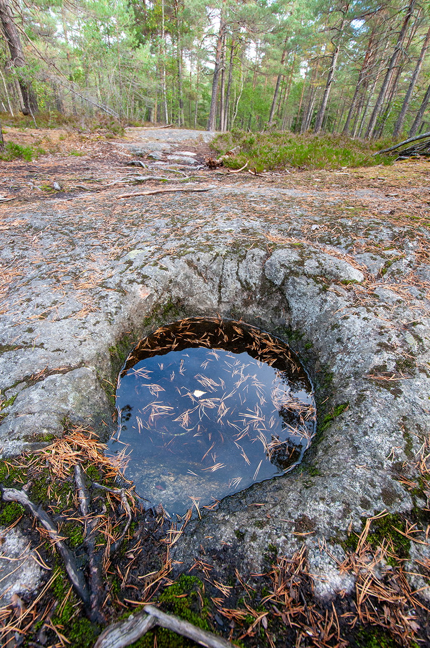 Foto: Johan Pontén