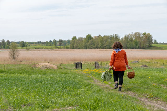 Flens kommun