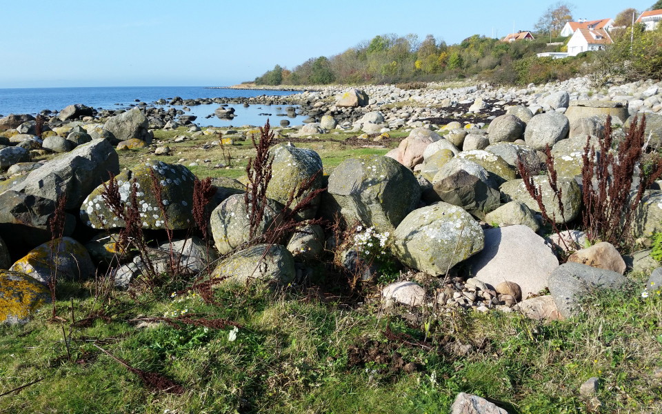 angelholm Photo
