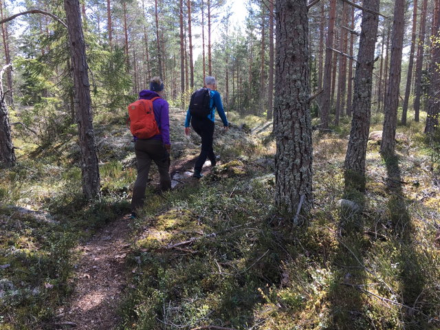 Upplandsleden, slinga 21:1, Ramsmossjöarna