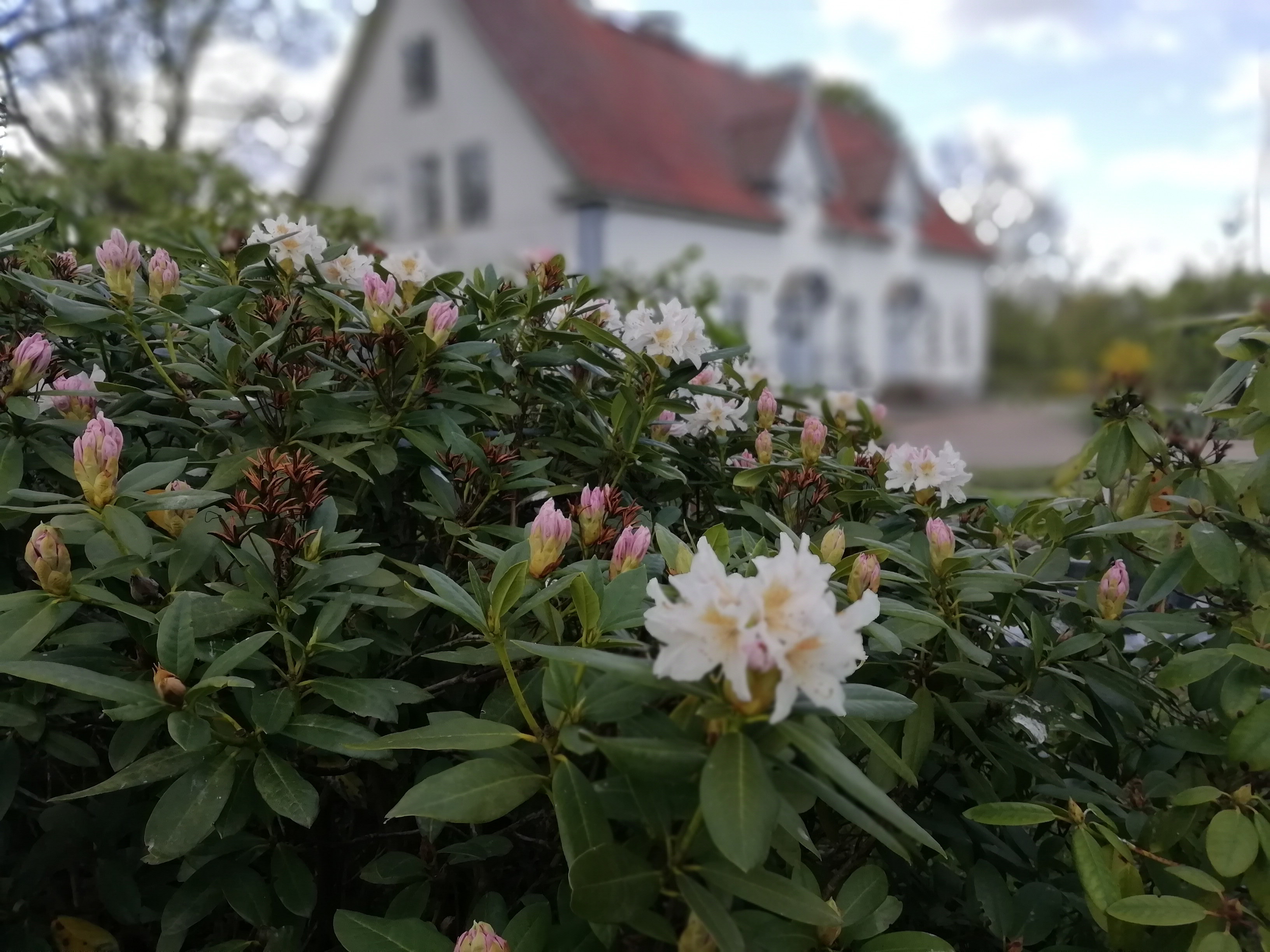 Auswandererweg, Etappe UL3: Moshult – Långasjö – Ein Teil des Smålandsleden