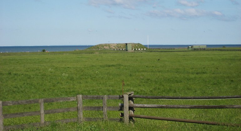 Betade strandängar vid Lommabukten.